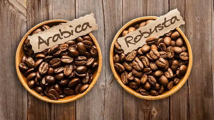 kopi aman untuk lambung king coffee